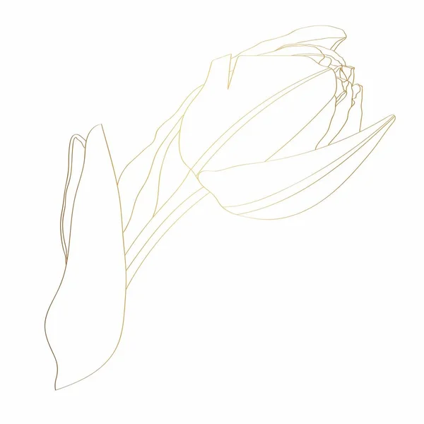 Altın Çiçek Elementleri Yaprak Dallı Lale Çiçeği Düğün Konsepti Çiçek — Stok Vektör