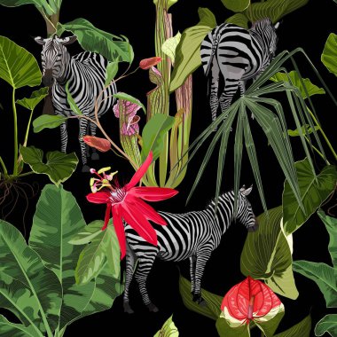 Tropikal çiçek yaprakları, palmiye ağacı ve egzotik passiflora çiçekleri, zebra vahşi hayvan çiçekleri siyah arka planda dikişsiz desen. Egzotik safari duvar kağıdı.