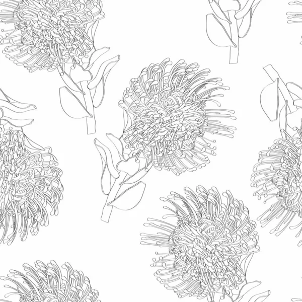 Τροπικό Μοτίβο Χωρίς Ραφή Φύλλα Και Άνθη Protea Επίπεδη Γραμμή — Διανυσματικό Αρχείο