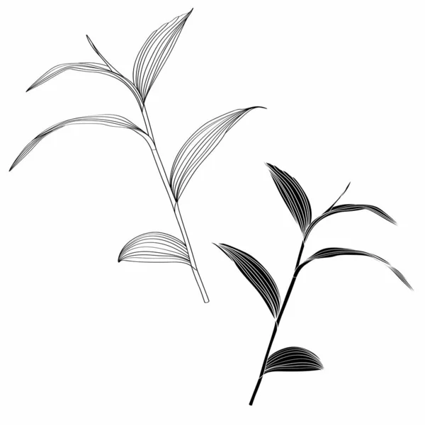 Beautiful Exotic Branch Leaf Silhouette Isolate White Background — Vetor de Stock