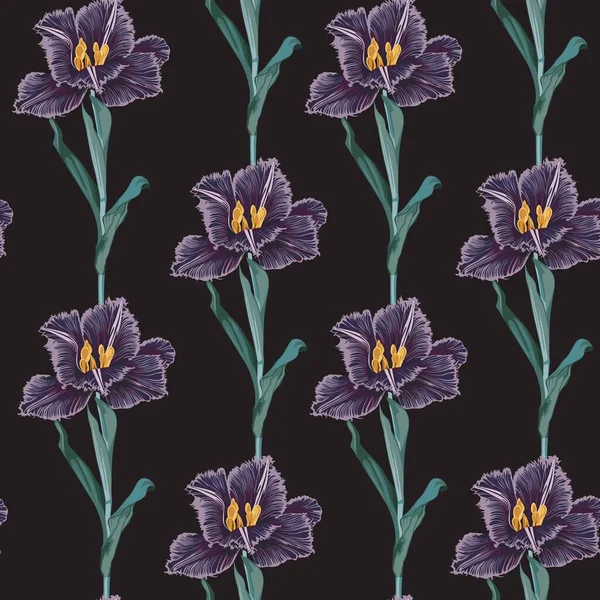 Belo Padrão Botânico Com Flores Tulipa Padrão Sem Costura Uma —  Vetores de Stock