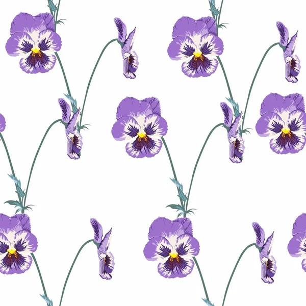 Seamless Pattern Spring Flowers Viola White Background — Vettoriale Stock