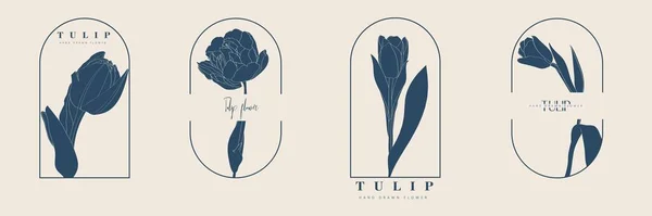 Handgetekende Vrouwelijke Logo Templates Set Tulpen Bloemenillustratie Met Stijlvolle Typografie — Stockvector