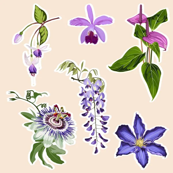 Conjunto Elementos Exóticos Tropicales Flores Violetas Set Pegatinas Alfileres Parches — Vector de stock