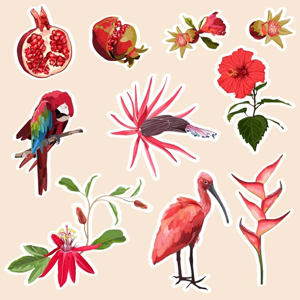 Conjunto Flores Rojas Exóticas Tropicales Loro Ara Elementos Aves Ibis — Vector de stock