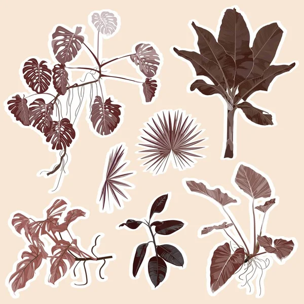 Ensemble Autocollants Icônes Feuilles Palmier Tropical Brun Abstrait Illustrations Plantes — Image vectorielle