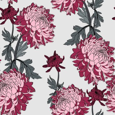 İşlemeli kusursuz bir arka plan ve mavi üzerine basit renkli bordo kasımpatı. Kasımpatı dolu sonbahar bahçesi..