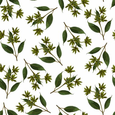 Beyaz arka planda çiçek açan okaliptüs dallarıyla kusursuz bir desen. Yeşillik, yeşillik ve doğal yaprakların yansıması. Çiçek tekstil tasarımı için şablon.