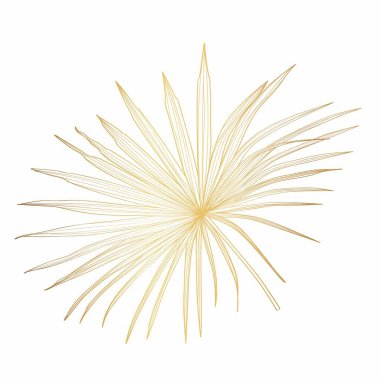 El çizimi tropikal yaz tasarımı unsuru: altın yelpaze palmiye yaprakları, çizgi sanatı. 