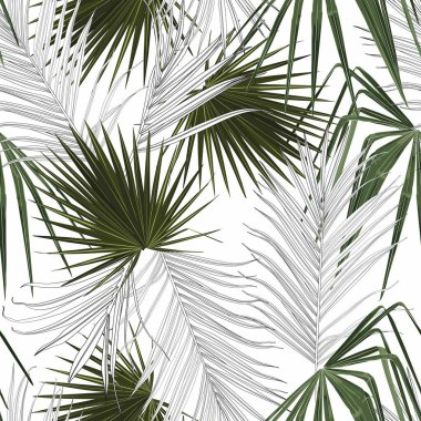 Tropik klasik palmiye yaprakları pürüzsüz. Duvar kağıdı, tebrik kartı ve moda tasarımı için egzotik tropikal orman. Beyaz arkaplan.