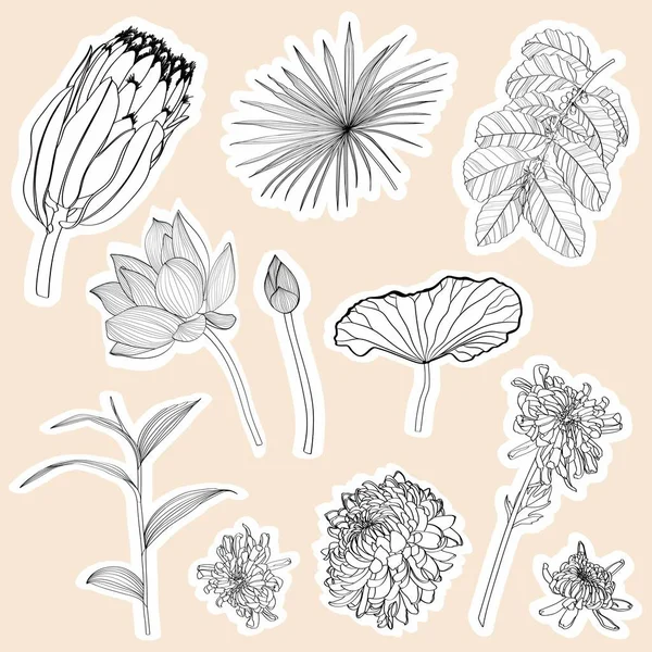 Conjunto Pegatinas Dibujadas Mano Lindas Plantas Flores Ramas Elegantes Elementos — Archivo Imágenes Vectoriales