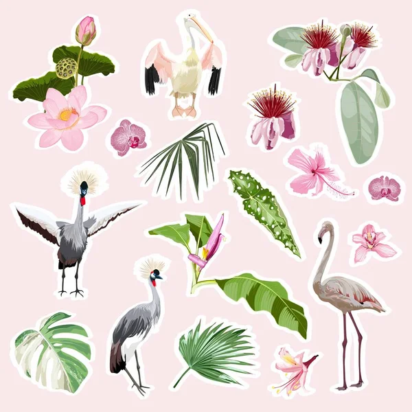 Flamingo Pelikaan Kraanvogels Schattige Dieren Tropische Bloemen Set Cartoon Stickers — Stockvector