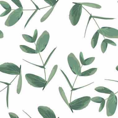 Beyaz arka planda okaliptüs gümüş dolar olan kusursuz bir desen. Yeşillik, yeşillik ve doğal yaprakların yansıması. Çiçek tekstil tasarımı için şablon.