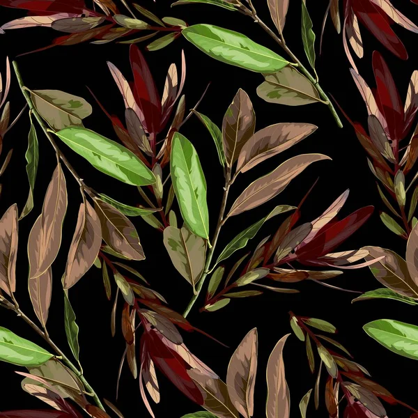 Floral Seamless Pattern Mit Magnolienzweig Leucadendron Exotischen Tropischen Pflanzen Auf — Stockvektor