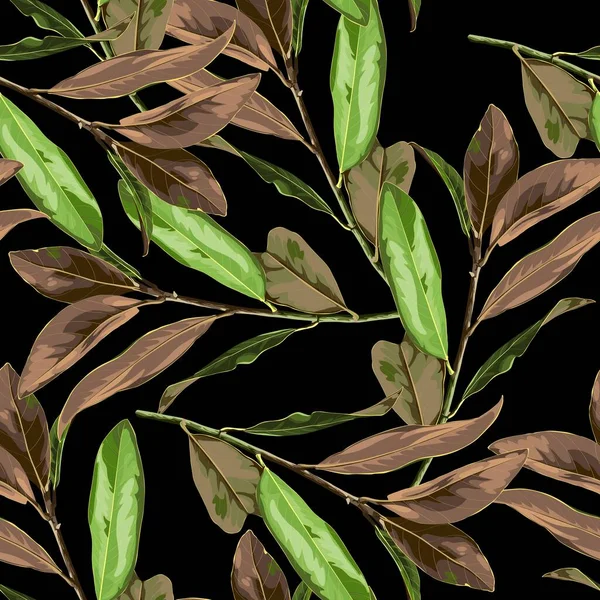 Floral Seamless Pattern Κλαδιά Μανόλια Εξωτικά Τροπικά Φυτά Μαύρο Φόντο — Διανυσματικό Αρχείο