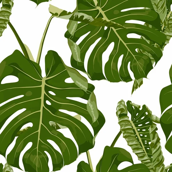 Tropische Groene Monstera Blad Illustratie Exotisch Naadloos Patroon Witte Achtergrond — Stockvector