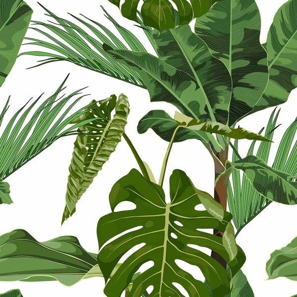 Tropisch Grüne Monstera Blatt Illustration Nahtloses Muster Jungle Laub Illustration — Stockvektor