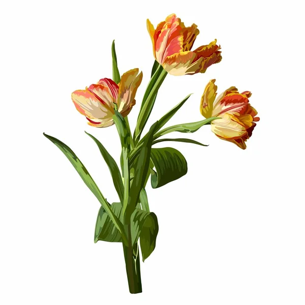 Blumenstrauß Blumenstrauß Designobjekt Element Orangefarbene Tulpenblüten Rustikal Florale Elegante Hochzeitskarte — Stockvektor