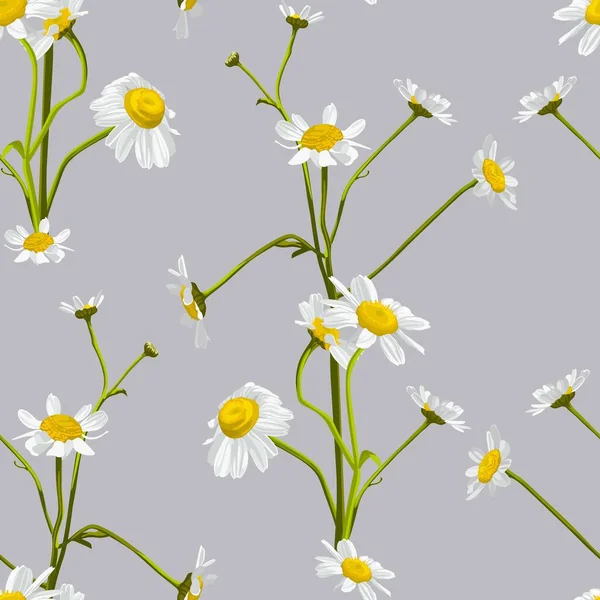 Meadow Divoká Květina Bezproblémový Vzor Botanický Heřmánek Šedé Pozadí Jemná — Stockový vektor
