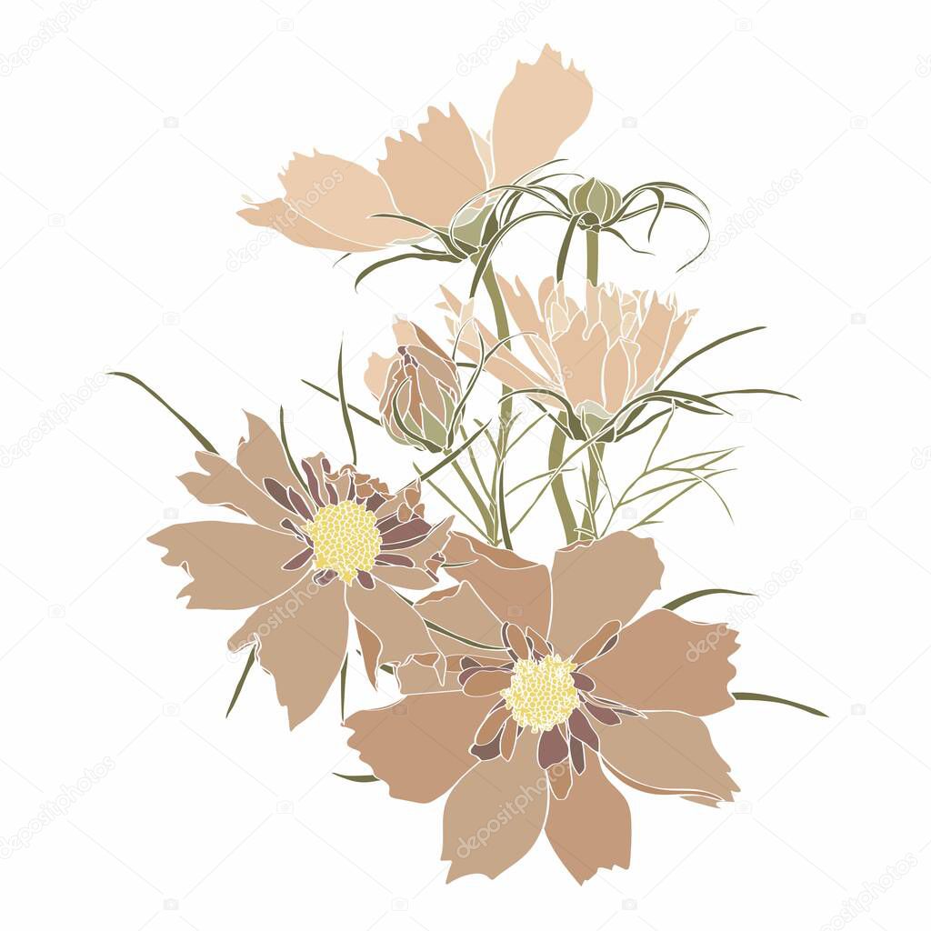 Sketch Floral bouquet. Cosmos flower drawings. Brown with line art on white backgrounds. Hand Drawn Botanical Illustrations.