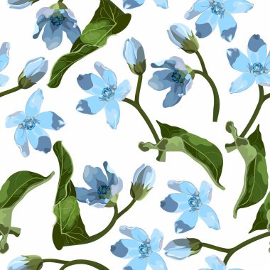 Seamless pattern with blue oxypetalum flowers, a white background. Hand drawn sketch. Template for floral textile design, paper, wallpaper, web.