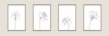 Botanical wall art set. Daffodils flower, abstract line art drawing. Abstract Plant Art design for print, cover, wallpaper, Minimal and natural wall illustration. 