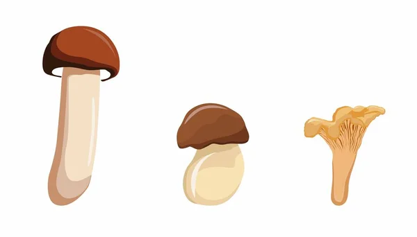 Cartoon Mushrooms Hand Drawn Edible Mushrooms Collection Autumn Design Vector — стоковый вектор