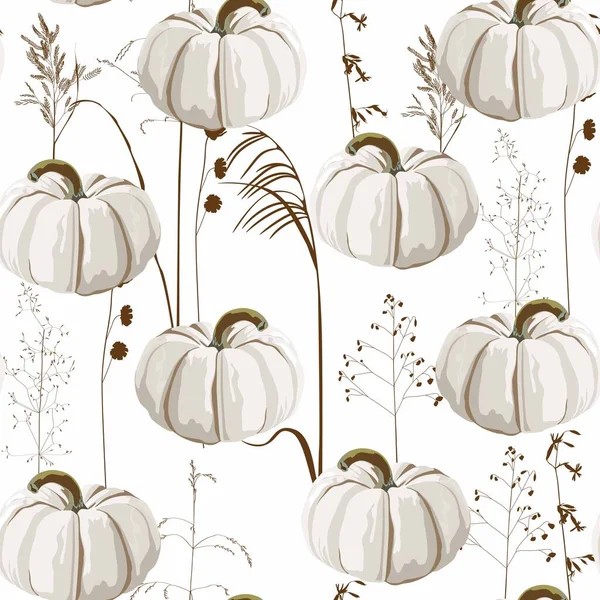 Autumn White Pumpkin Brown Herbs Seamless Pattern White Background — Image vectorielle