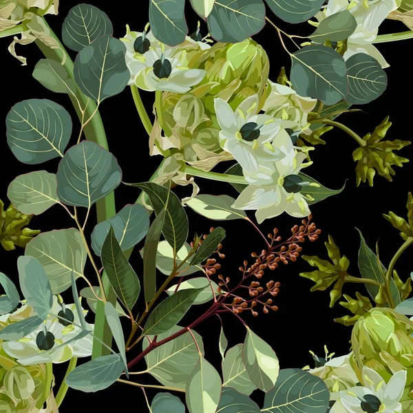 Τροπικό Φυτό Αστέρι Της Βηθλεέμ Κρίνο Ornithogalum Umbellatum Λουλούδια Και — Διανυσματικό Αρχείο