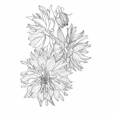 Flowers bouquet in black line isolated on white background. Floral elements in contour style with Dahlia flower  for summer design and coloring book.