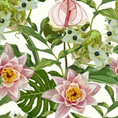 Beytüllahim yıldızlı tropikal bitki, veya çim zambağı (Ornithogalum umbellatum), pembe su zambağı, nilüfer çiçekleri. Egzotik bitki. Su bitkileri, Japon ve Çin illüstrasyonları.