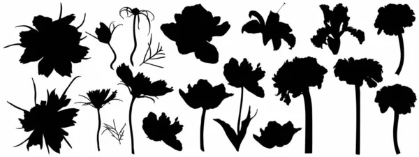 Silueta Sada Zahradních Květin Černá Barva Izolované Bílém Pozadí — Stockový vektor