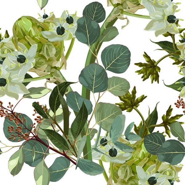 Τροπικό Φυτό Αστέρι Της Βηθλεέμ Κρίνο Ornithogalum Umbellatum Λουλούδια Και — Διανυσματικό Αρχείο