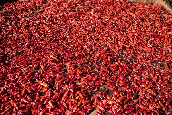 Kurutulmuş kırmızı biber — Stok fotoğraf