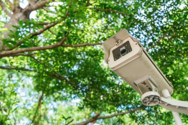 CCTV parkta ağaçların altında