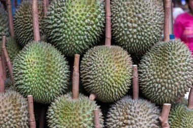 kaldırım meyve durak