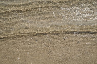 Sahilde küçük bir dalga