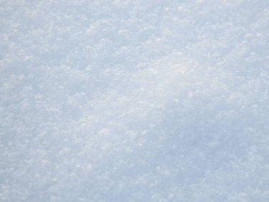 hoarfrost ile kaplı çimen