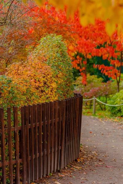 Szenische Herbstlandschaft — Stockfoto