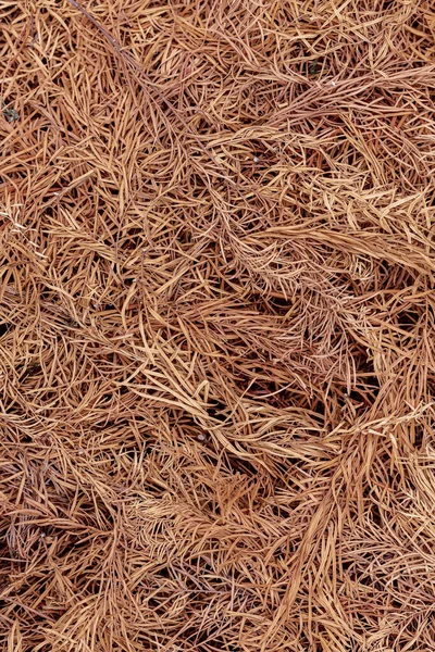 Close Pile Hay Background — Stock Photo, Image