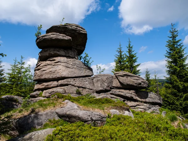Mantar kaya — Stok fotoğraf