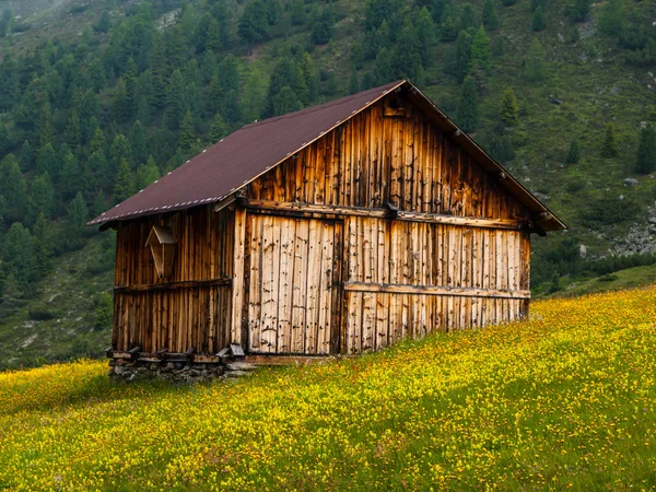 高山小屋 — 图库照片