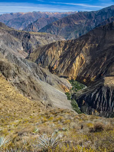 Canyon de colca — Photo