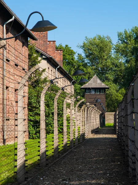 Fence around Auschwitz concentration camp — Stock Photo, Image