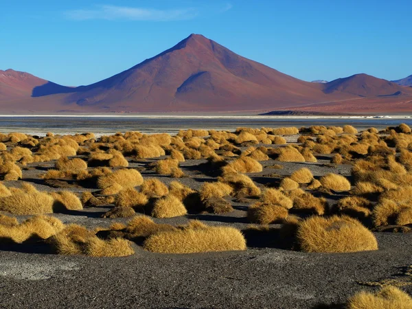 Paisaje en Laguna Colorada — Foto de Stock