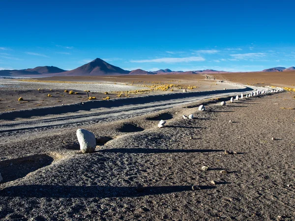 Altiplano에 자갈도로 — 스톡 사진