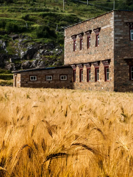 บ้านทิเบตใน Yading — ภาพถ่ายสต็อก