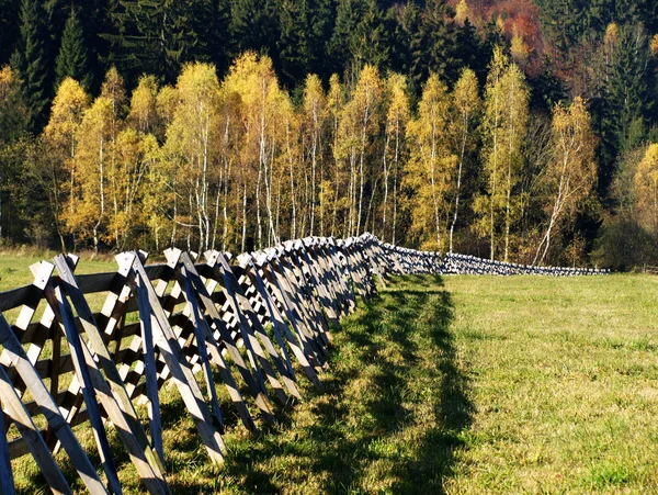 Windschermen — Stockfoto