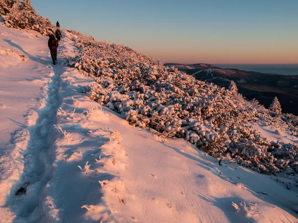 Winterwandern — Stockfoto