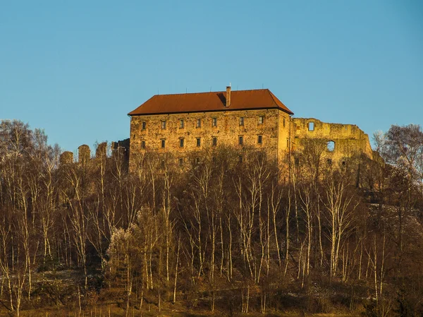 Castelo de pecka — Fotografia de Stock